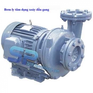 Máy bơm ly tâm NTP HVP2100-15.5 20 (7.5HP)