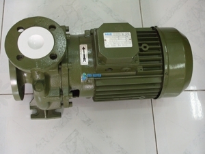 Máy bơm ly tâm Saer IR65-160B - trục ngang, 15HP