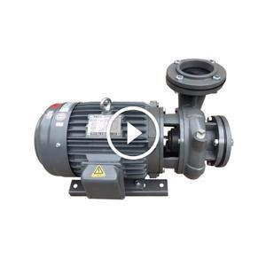 Máy bơm ly tâm Teco đầu gang 4 cực G320-150-4P - 20HP