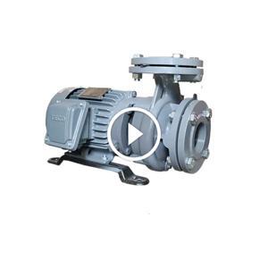 Máy bơm ly tâm Teco đầu gang G310-80-2P-10HP 10HP 380V ( 2 cực)