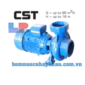 Máy bơm ly tâm trục ngang đầu gang Mitsuky CST550-4 - 5.5HP