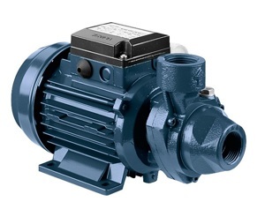 Máy bơm ly tâm trục ngang đầu gang Ebara PRA 100M 1HP