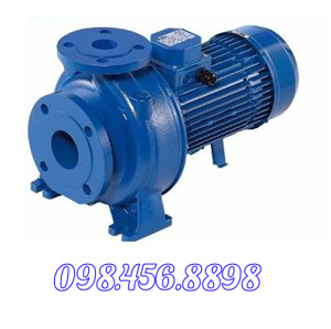 Máy bơm ly tâm trục ngang đầu gang Ebara 3D 50-125/3.0 4HP