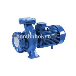 Máy bơm ly tâm trục ngang đầu gang Beluno CX65-200/22