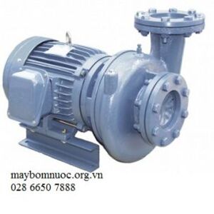 Máy bơm ly tâm trục ngang đầu gang NTP HVP380-15.5 20 7.5HP