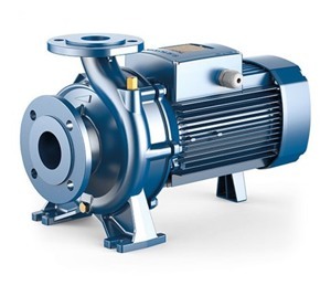 Máy bơm ly tâm trục ngang Pedrollo F 65/125A - 10HP