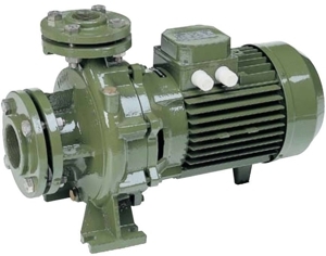 Máy bơm ly tâm trục ngang SAER IR40-200A 10HP