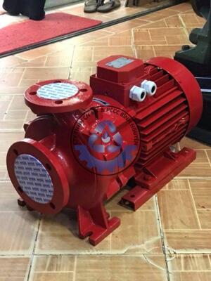 Máy bơm ly tâm trục ngang SAER IR50-125A 5.5HP