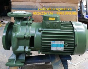 Máy bơm ly tâm trục ngang SAER IR65-160A 20HP