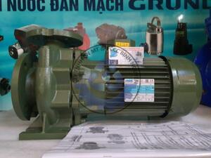 Máy bơm ly tâm trục ngang SAER IR40-125B 3HP