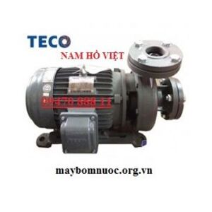 Máy bơm ly tâm trục ngang Teco G32-50-2P-2HP