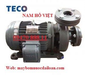 Máy bơm ly tâm trục ngang Teco G32-50-2P-2HP