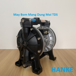 Máy bơm màng hóa chất TDS DS03-AAT-TASS-02