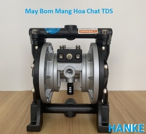 Máy bơm màng hóa chất TDS DS03-AAT-TASS-02