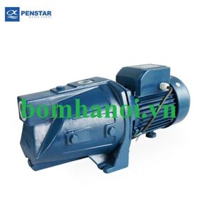 Máy bơm nước bán chân không Pedrollo JSWm 3CL - 1.1kW