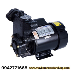 Máy bơm nước bánh răng Nagaki LD-200 200W