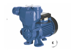 Máy bơm nước chân không Kangaroo KG 250E - 250W