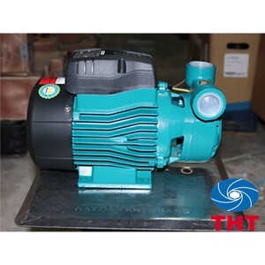 Máy bơm nước chân không Lepono AQm 75 (AQm75) - 1HP