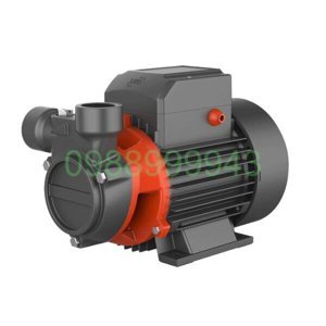 Máy bơm nước chân không Lepono AQm 75 (AQm75) - 1HP