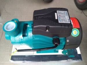 Máy bơm nước chân không Lepono APm 75 (APm75) - 1HP