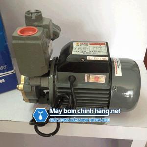 Máy bơm nước chân không Sena SEP 375 375W