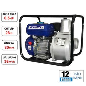 Máy bơm nước chạy xăng Dewoo DW-2030