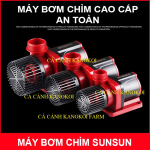 Máy bơm nước chìm 24V 160W 18000L Sunsun JDP-18000