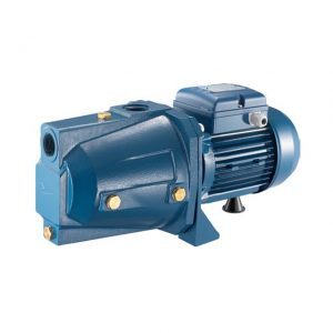 Máy bơm nước đầu lợn Pentax CAM 100 750w