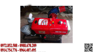 Máy bơm nước đầu nổ Diesel D20