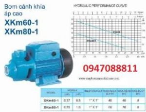 Máy bơm nước đẩy cao Lepono XKM50-1