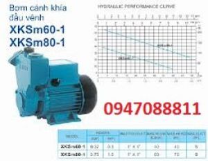 Máy bơm nước đẩy cao Lepono XKSM60-1 (XKSM-60-1)