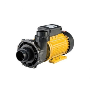 Máy bơm nước Ebara Pump 1500W