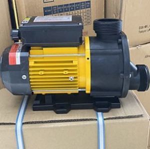 Máy bơm nước hồ bơi Ewara TDA 100 1HP