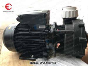 Máy bơm nước hồ bơi Ewara WP 200IT - 2HP