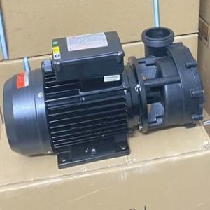 Máy bơm nước hồ bơi Ewara WP 200IT - 2HP