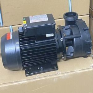 Máy bơm nước hồ bơi Ewara WP 250I - 2.5 HP