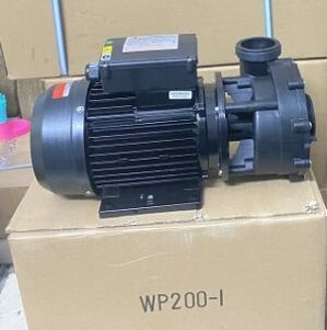 Máy bơm nước hồ bơi Ewara WP 250I - 2.5 HP