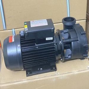 Máy bơm nước hồ bơi Ewara WP 300IT - 3HP