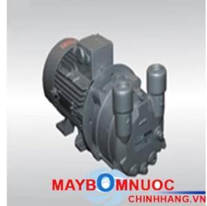 Máy bơm nước hút chân không Doovac DEN-400 0.95KW