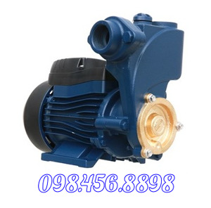 Máy bơm nước Kangaroo KG-200BP