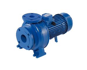 Máy bơm nước ly tâm Ebara 3D 32-160/1.5 - trục ngang, 2HP