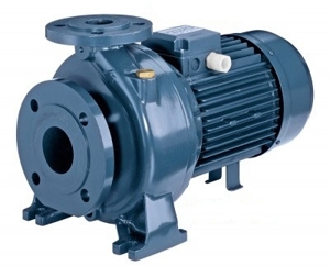 Máy bơm nước ly tâm Ebara 3D 32-125/1.1 - trục ngang, 1.5HP