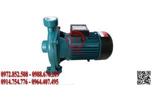 Máy bơm nước ly tâm Lepono 2AC 300H - 4HP