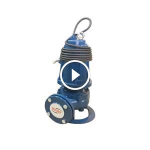 Máy bơm nước Pentax DMT 550