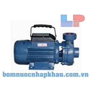 Máy bơm nước Rino 1.5DK-20