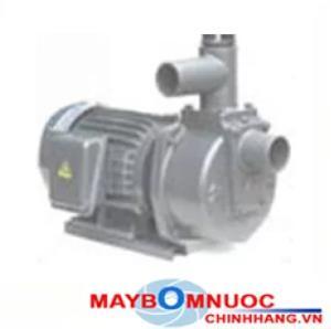 Máy bơm nước tự hút đầu gang NTP HSP250-11.5 265