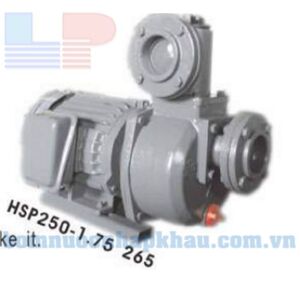 Máy bơm nước tự hút đầu gang NTP HSP250-11.5 265