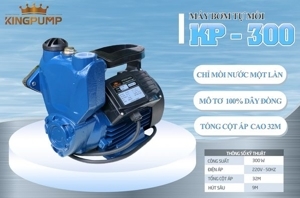 Máy bơm nước tự mồi KINGPUMP KP-300