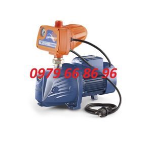 Máy bơm tăng áp Pedrollo JSWm 2CX - 750W