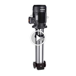 Máy bơm trục đứng đầu gang Shimge BLT16-4 4KW